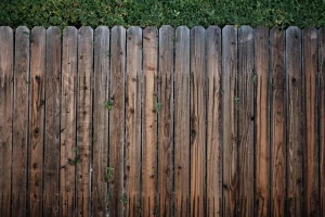dark timber fencing in a garden